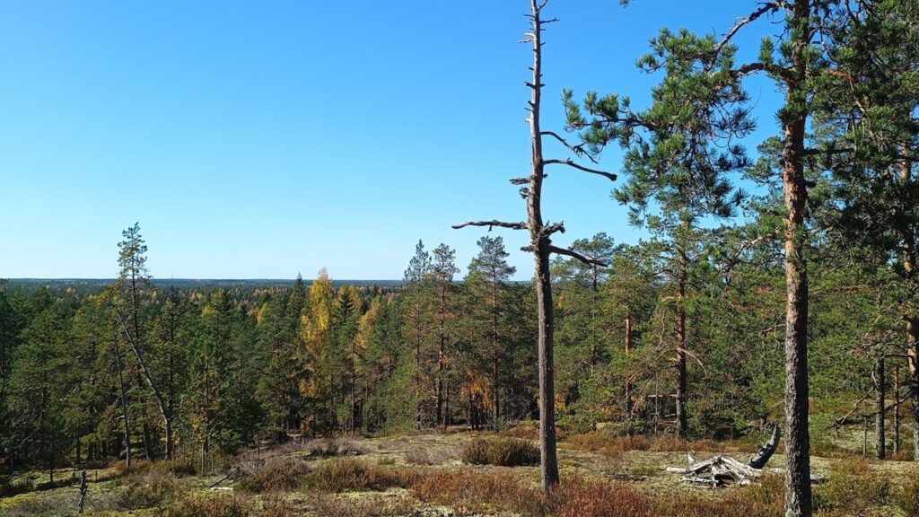 hanhivuoren maisemaa
Hanhivuori