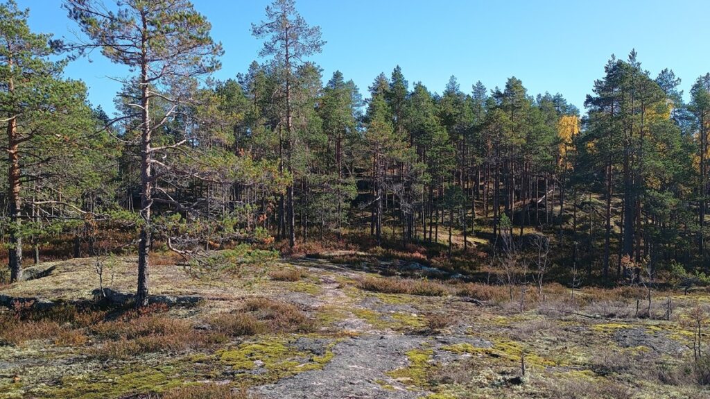 Matkalla Hanhivuorelle.
