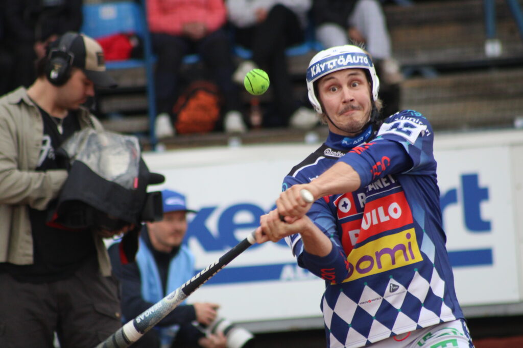 Rinta aho