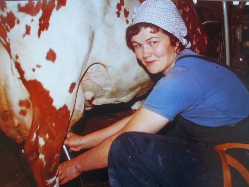 Tässä kuvassa lypsän nuorena emäntänä meidän ensimmäistä lehmää Kaunikkia. Kuva on mieheni Pentti Finnilän ottama, kertoo Marja-Liisa Rentola