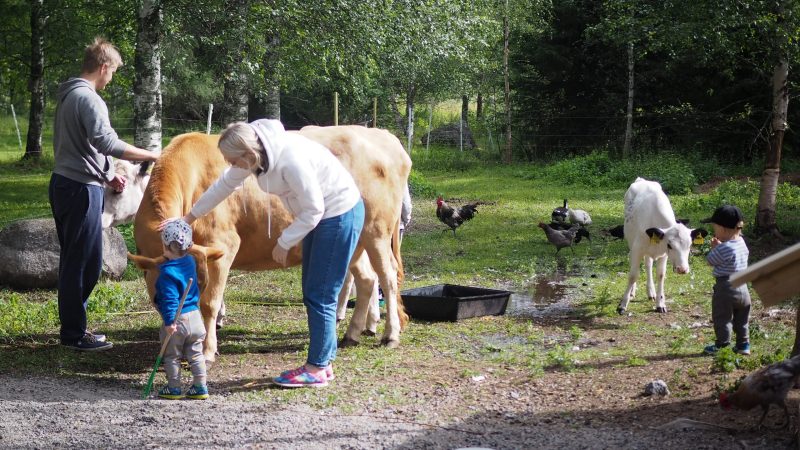 Voimavaratila Taikamäessä perheet voivat tutustua maatilan elämään ja eläimiin. Kuva: Karoliina Takamäki