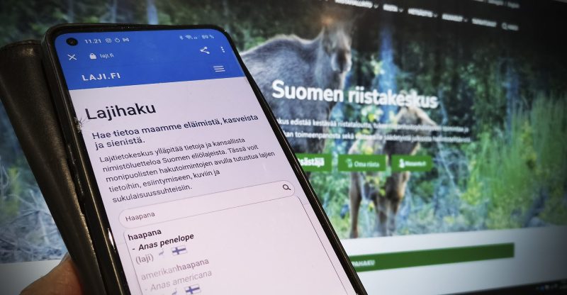 Suomen riistakeskus kannustaa ilmoittamaan myös muiden lintulajien havainnot omien lajintunnistustaitojen mukaisesti. Tämä onnistuu kätevästi esimerkiksi Mobiilivihko-sovelluksella.