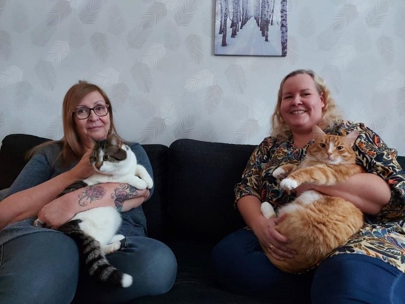 Tiina Särkinen ja Tuija Puumala ehtivät istahtamaan hetkeksi lasten ollessa koulussa ja samalla Metsäkulman kissat saivat sylihoitoa.