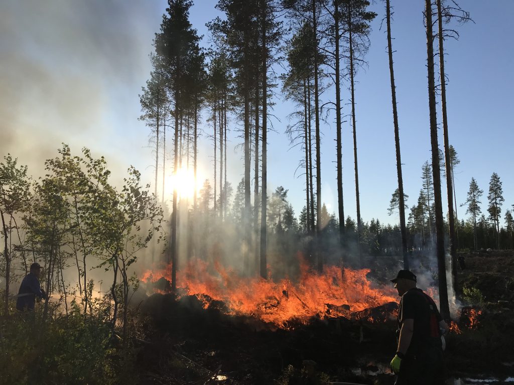 Kuva1 palomiehet turvaamassa saastopuuryhman polttoa.jpg