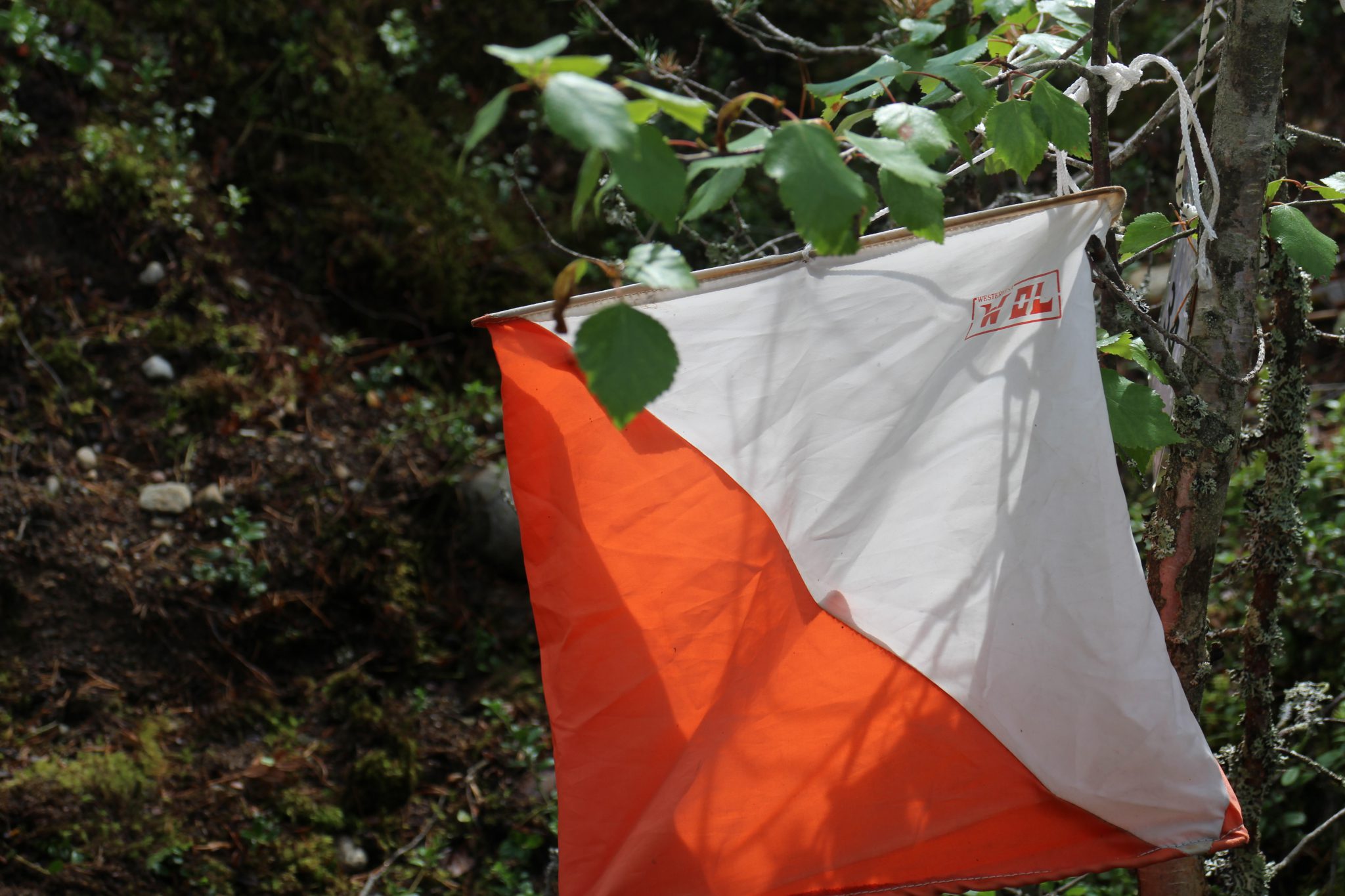 Markki sprintti kortesjarven taajamassa heinakuun lopulla.jpg