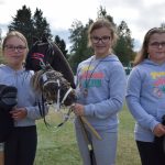 Vimp aapiskuja kepparit.jpg