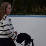 Vimp aapiskuja kepparit 2.jpg