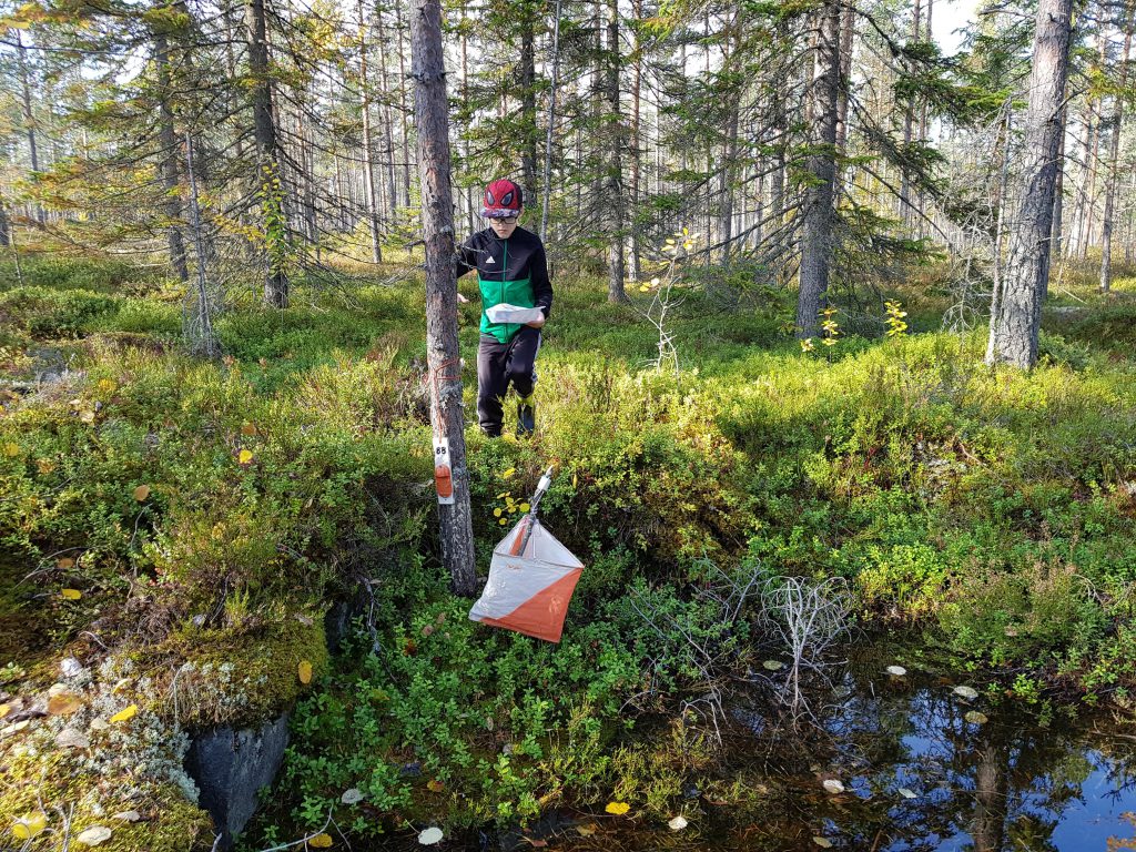 Kati pokelan suunnistuskuva.jpg