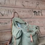 Alaj lillukkametsa 1.jpg