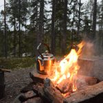 Alaj lillukkametsa.jpg