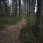 Alaj lillukkametsa 3.jpg