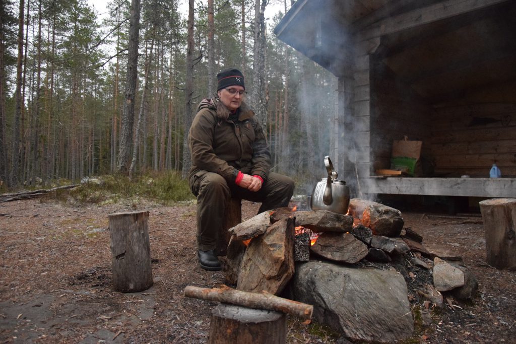 Alaj lillukkametsa vainio 1.jpg