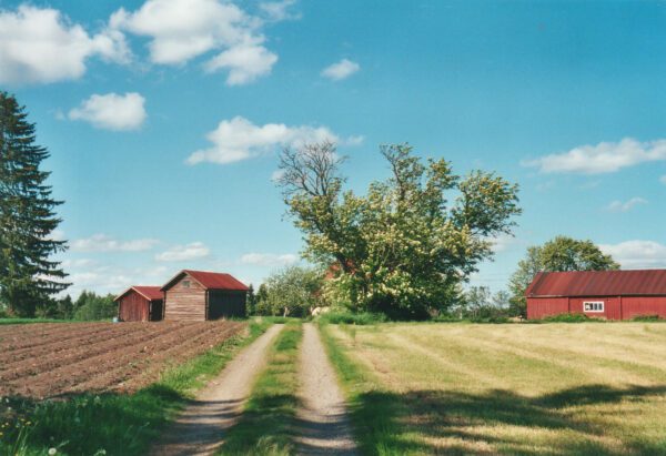 Kansikuva muutetaan peiliksi.jpg