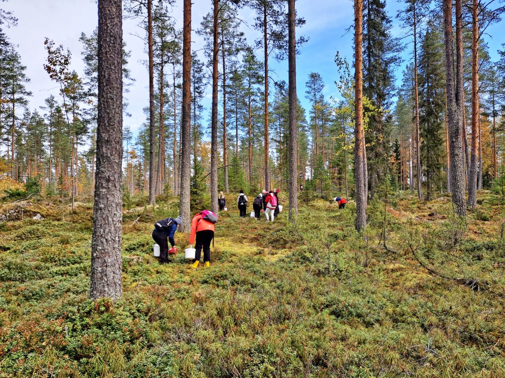 Js marjaretki nuoret.jpg