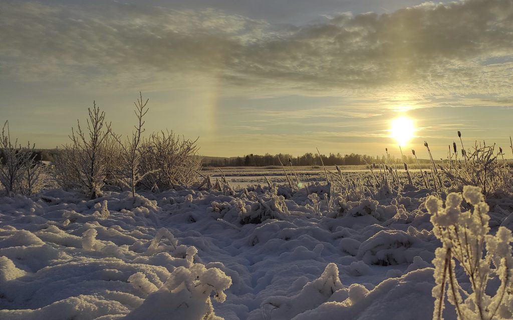 Img 20211209 125316 kopio.jpg