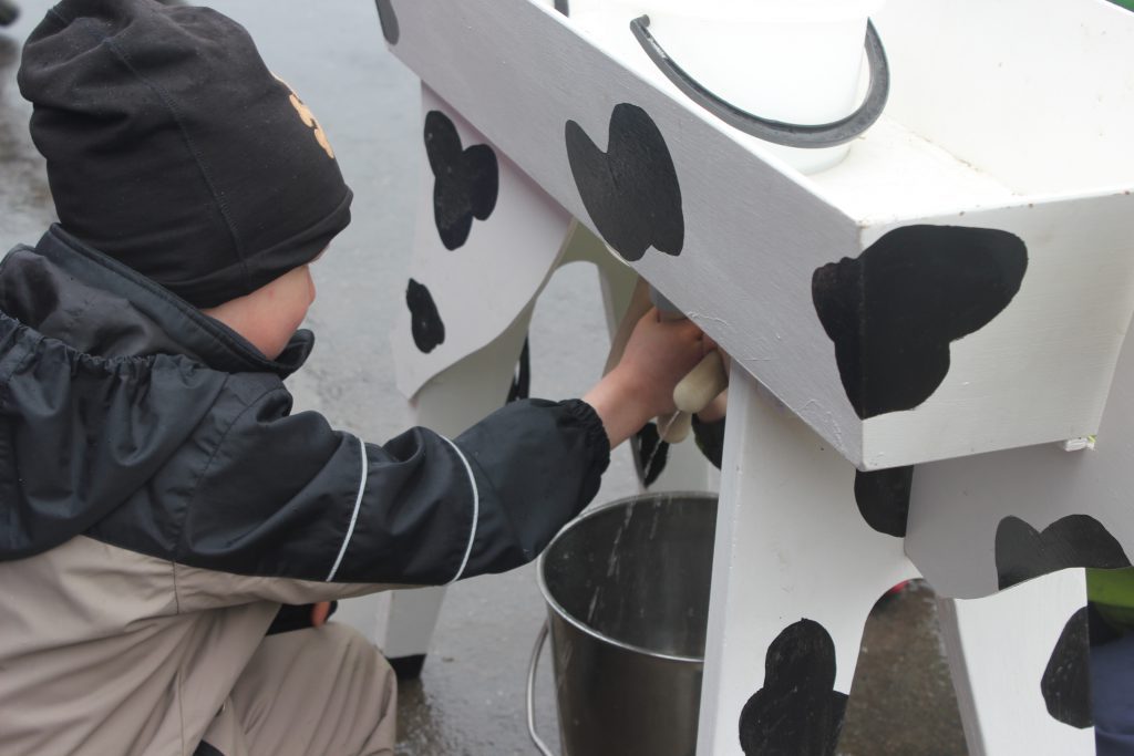 Kotisivu maaseutu.jpg