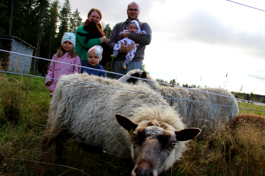 Na ytto kuva 2018 9 20 kello 12 24 31.png