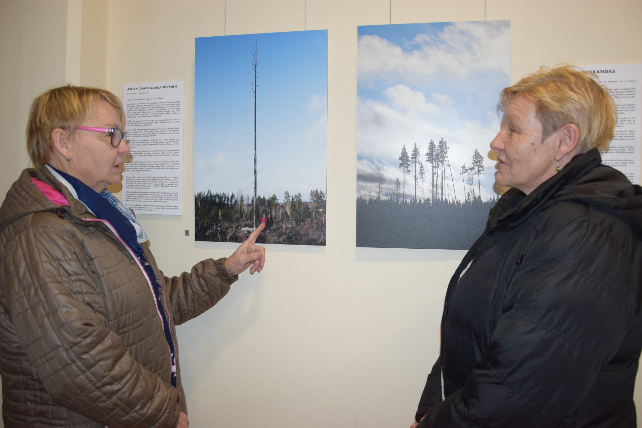 Kotinionmetsa alaj.jpg