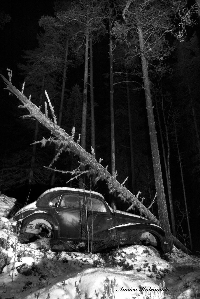 Nettiin nayttely.jpg