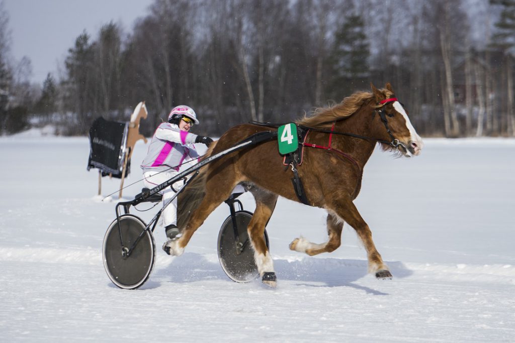 Nettiin jaaravit1.jpg