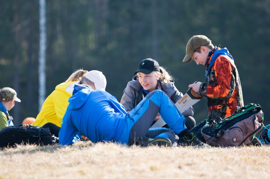 Nettiin pain honkia1.jpg