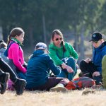 Nettiin pain honkia4.jpg