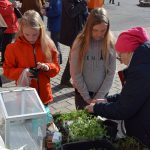 Jarjestomarkkinat 1.jpg