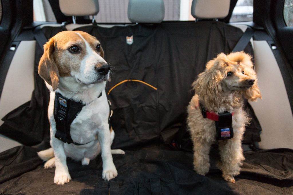 18919466748 45de84ce97 k.jpg