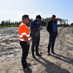 Vimp kosteikko 1.jpg