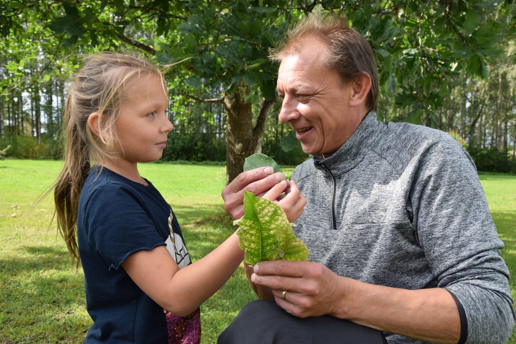 Vimp saaennustaja.jpg