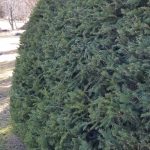 90593285 515080529210245 1880058273818738688 n.jpg