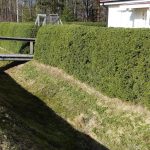 90948922 222847565492565 6164819013831491584 n.jpg