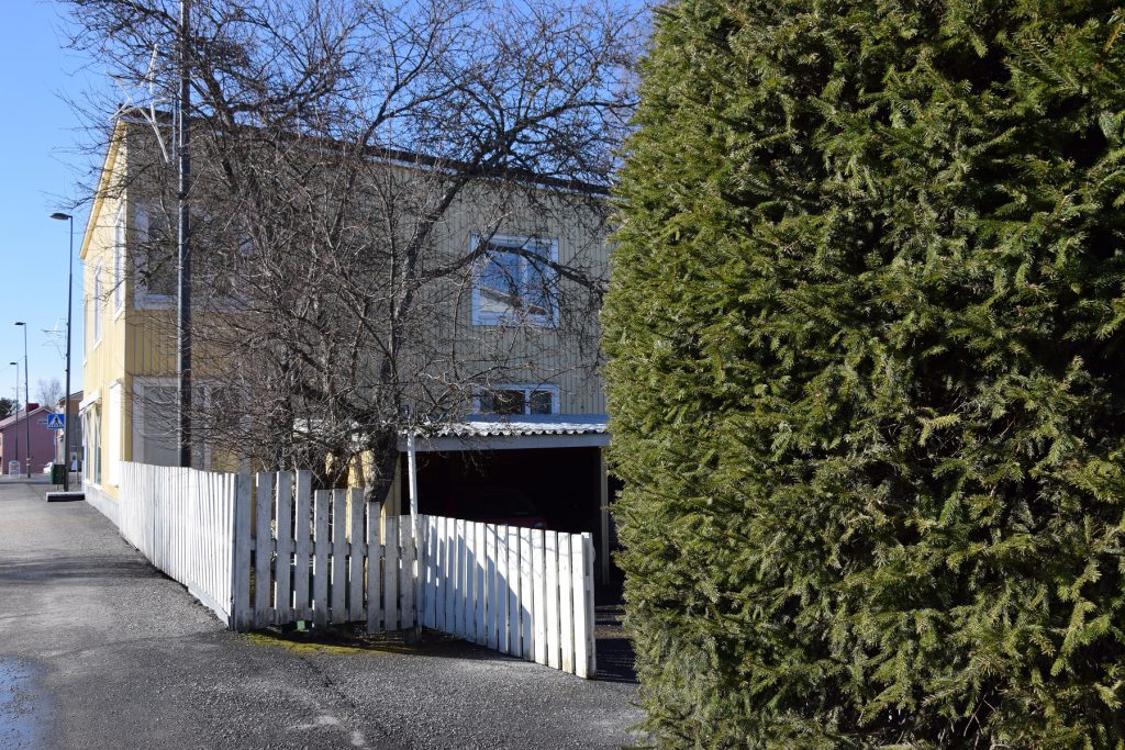 Alaj kuusiaita 1.jpg