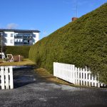 Alaj kuusiaita 2.jpg