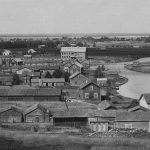 Vimp juuti kainalo.jpg