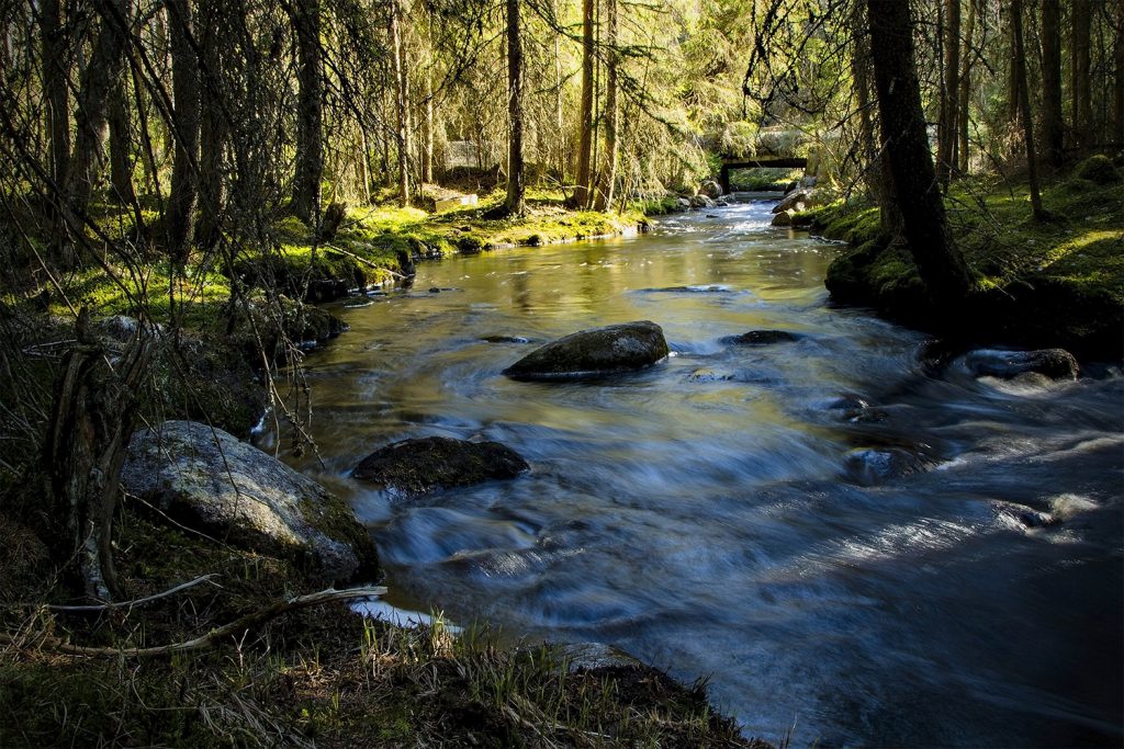 42036877341 67e506a3f1 k.jpg