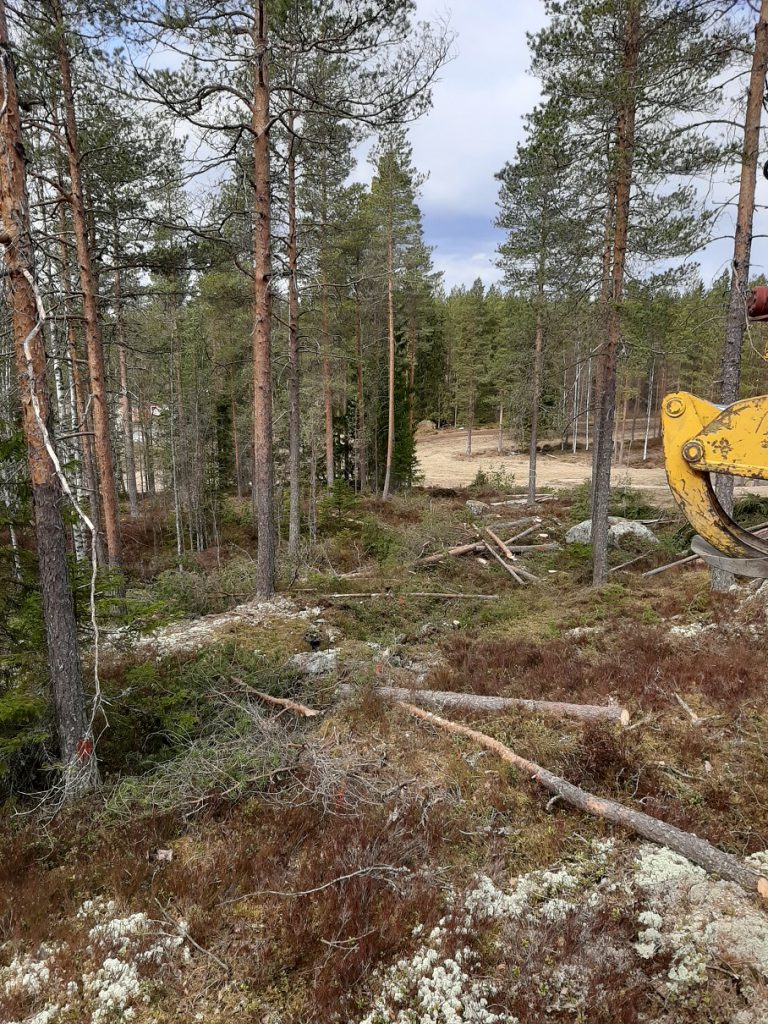 Nettiin kuntoportaat.jpg